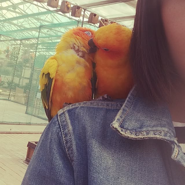 fukuさんの実例写真