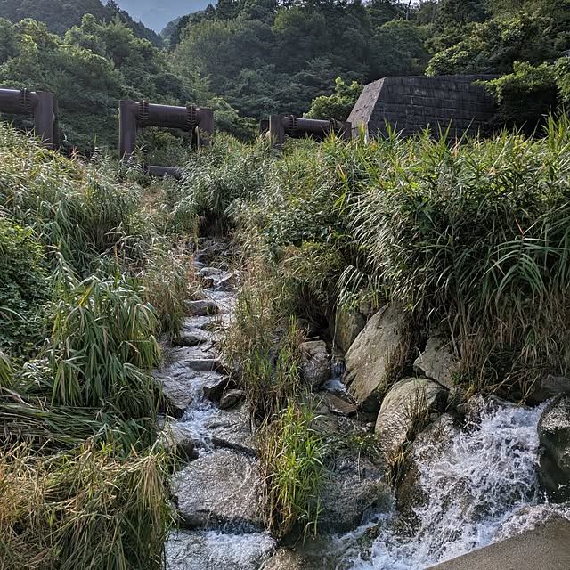 asaさんの部屋