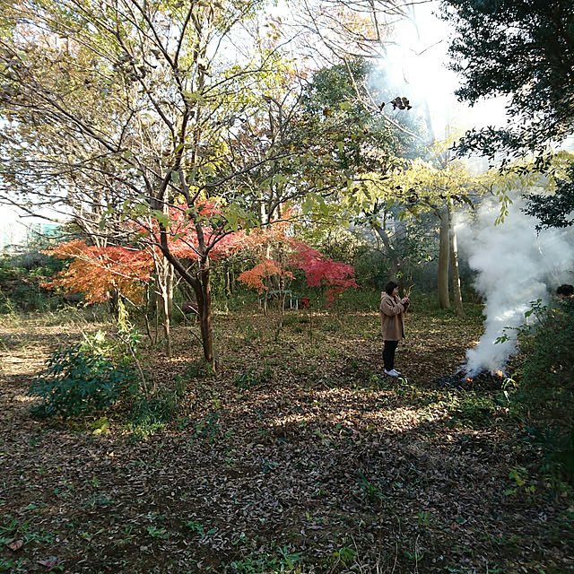 okyosan101さんの実例写真