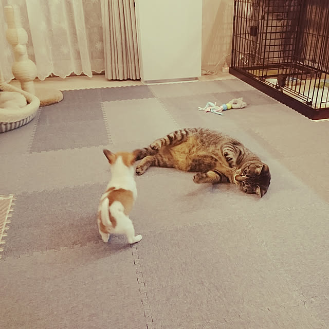 nellyさんの実例写真