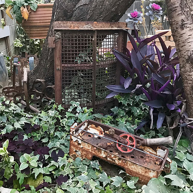 bibianさんの実例写真