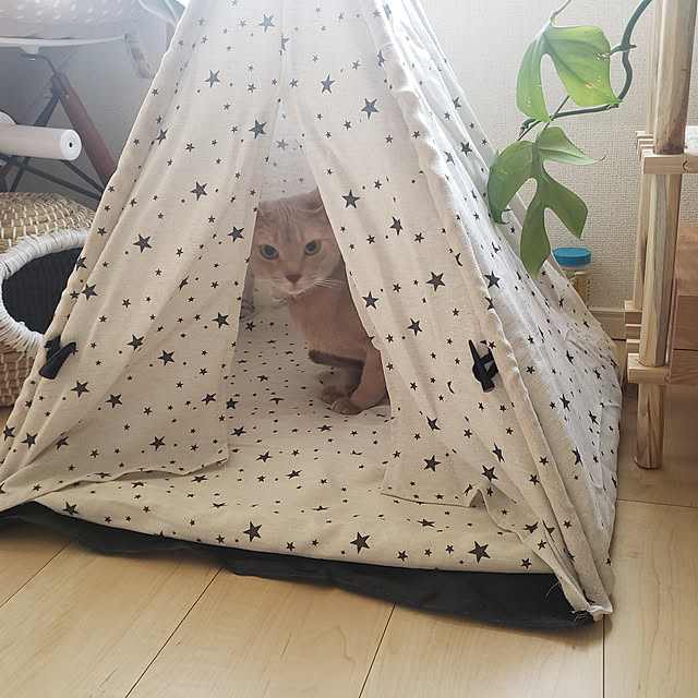 megu.catさんの実例写真
