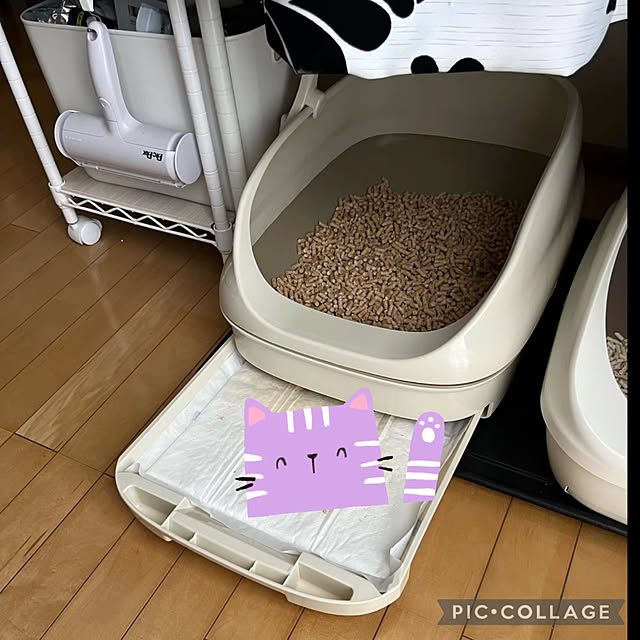 yukarin-gardenさんの部屋