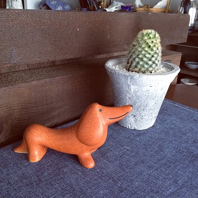 torinokoさんの実例写真