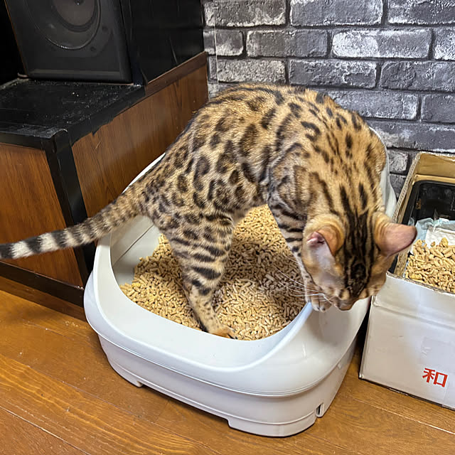 tututu0204さんの実例写真