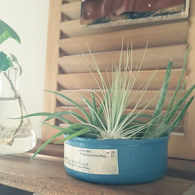 aliceさんの実例写真