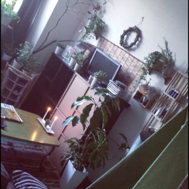 Manamiさんの実例写真