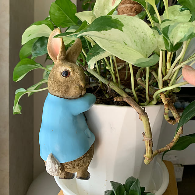 Aqettyさんの部屋