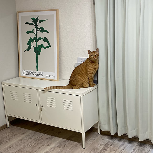 リビング/ねこと暮らす/エルズワース・ケリー/IKEAのインテリア実例 - 2021-06-13 17:21:23