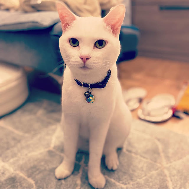 hanaさんの実例写真
