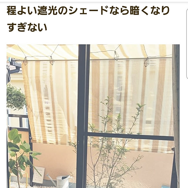 saku-naraさんの実例写真