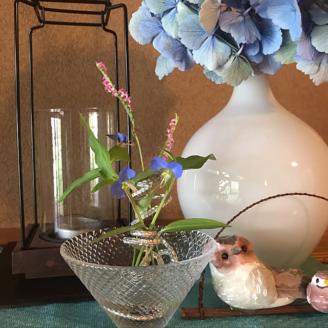 ankoさんの実例写真