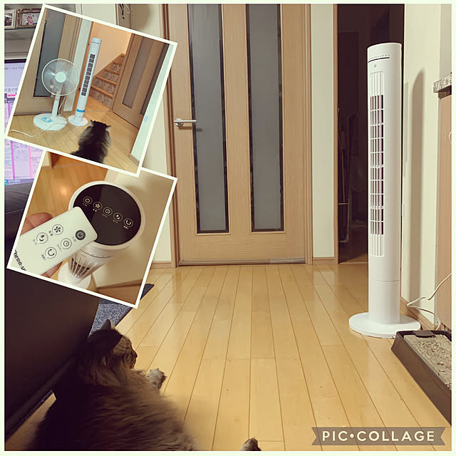 yukarin-gardenさんの実例写真