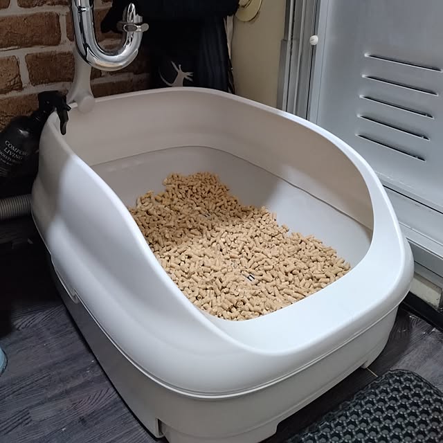 runaさんの実例写真