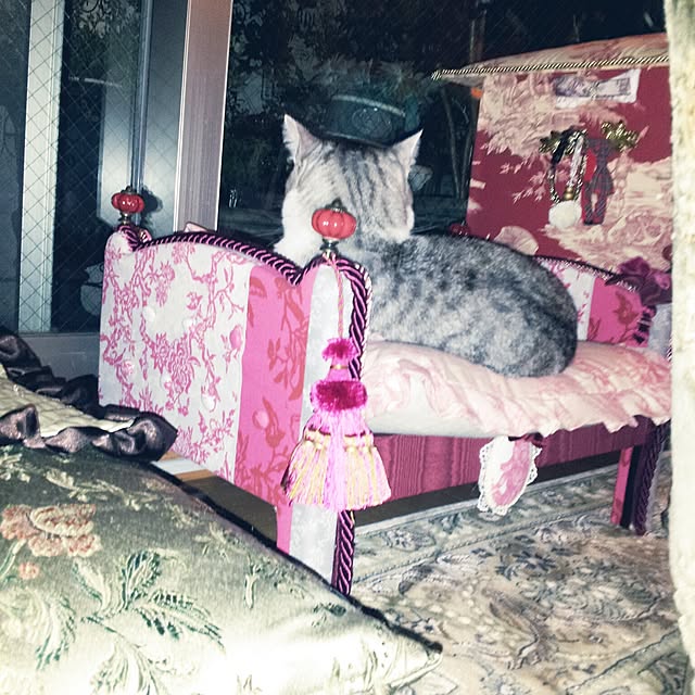 emmyyさんの実例写真