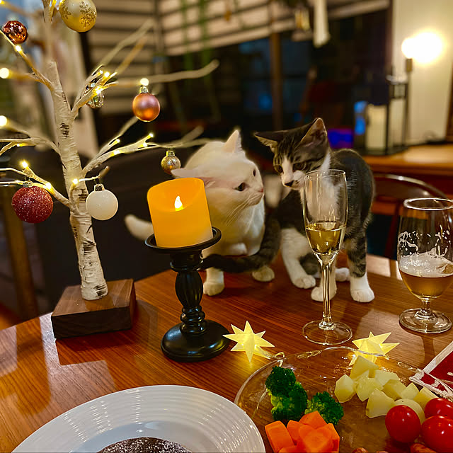 Yukinekoさんの実例写真