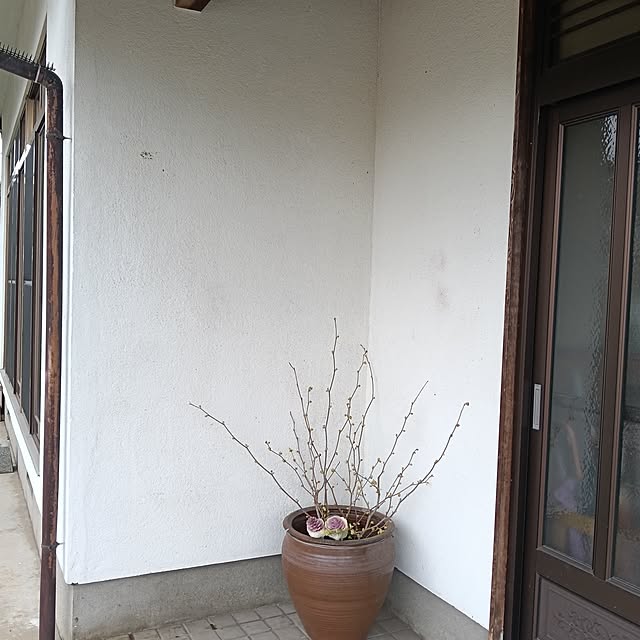 sumimarumiさんの部屋