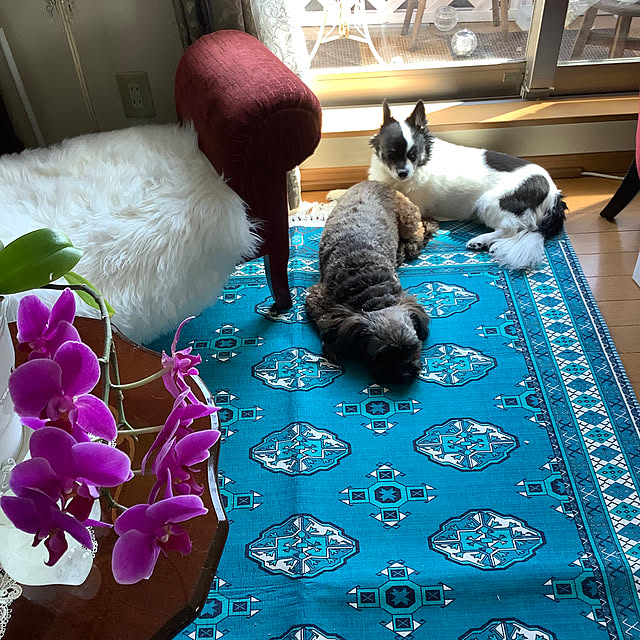 taeさんの部屋
