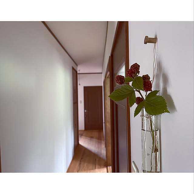 marucoさんの実例写真