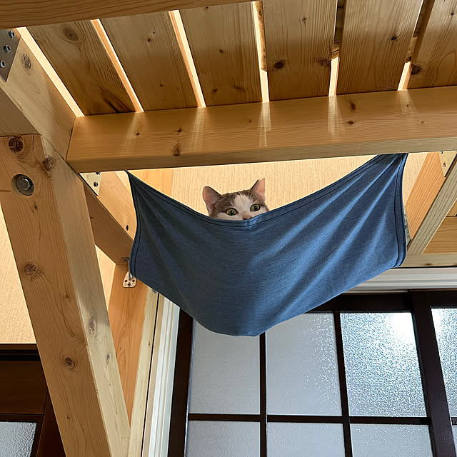 yurari.bonnさんの部屋