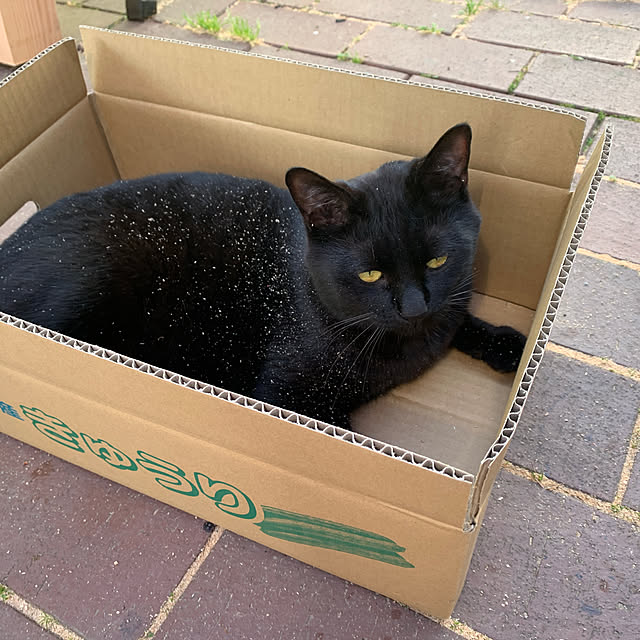 Toruさんの実例写真