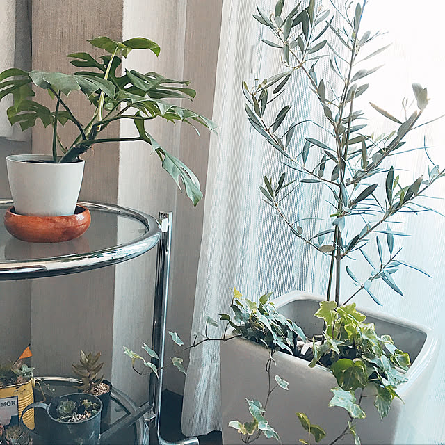 maayaroomさんの実例写真