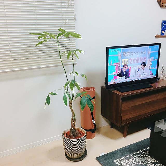 miniさんの実例写真