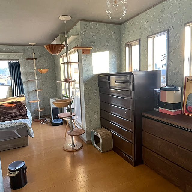 nekohagu2022さんの実例写真