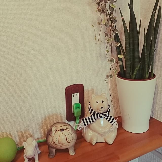 Makiさんの実例写真