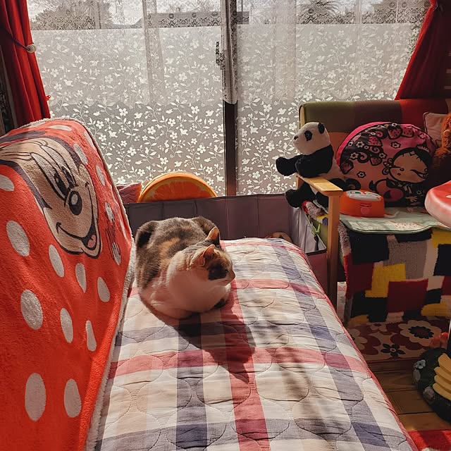 kumutanさんの部屋