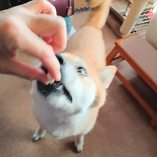 nanaさんの部屋