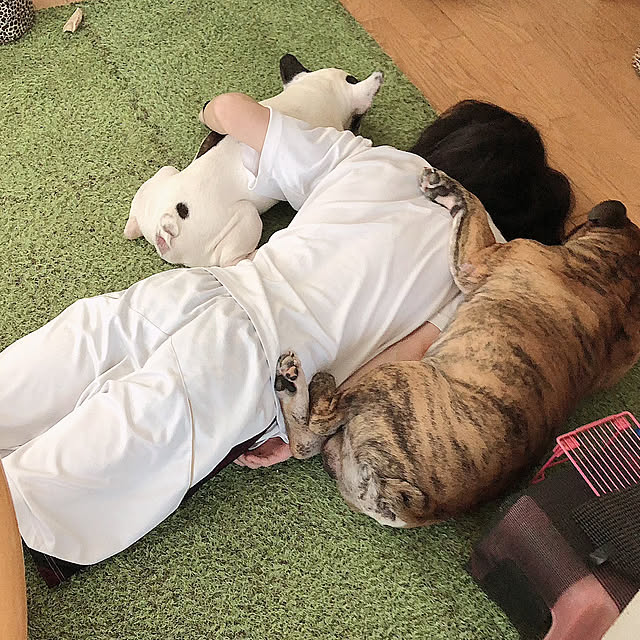 chi_gogaさんの実例写真
