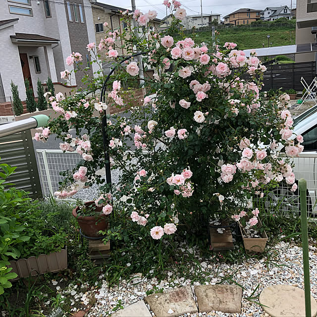 Mayumiさんの実例写真