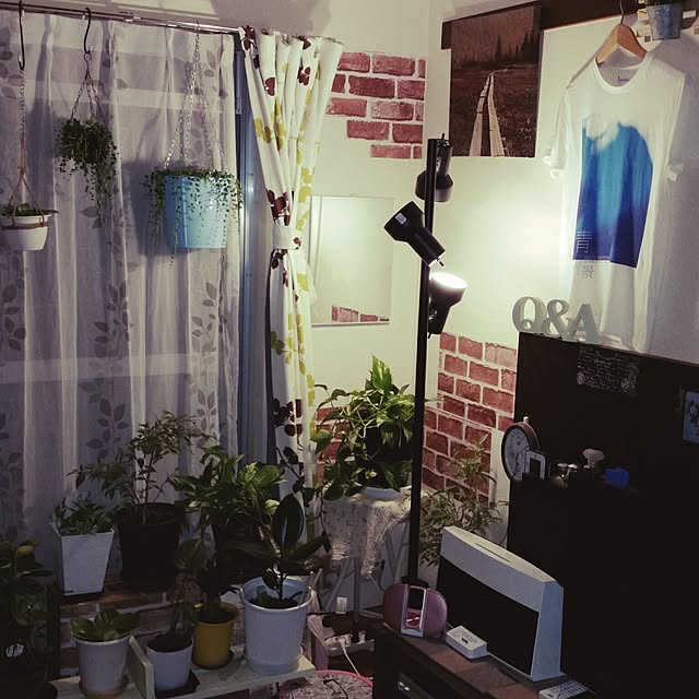 部屋全体/観葉植物/IKEAのインテリア実例 - 2016-05-06 23:46:29