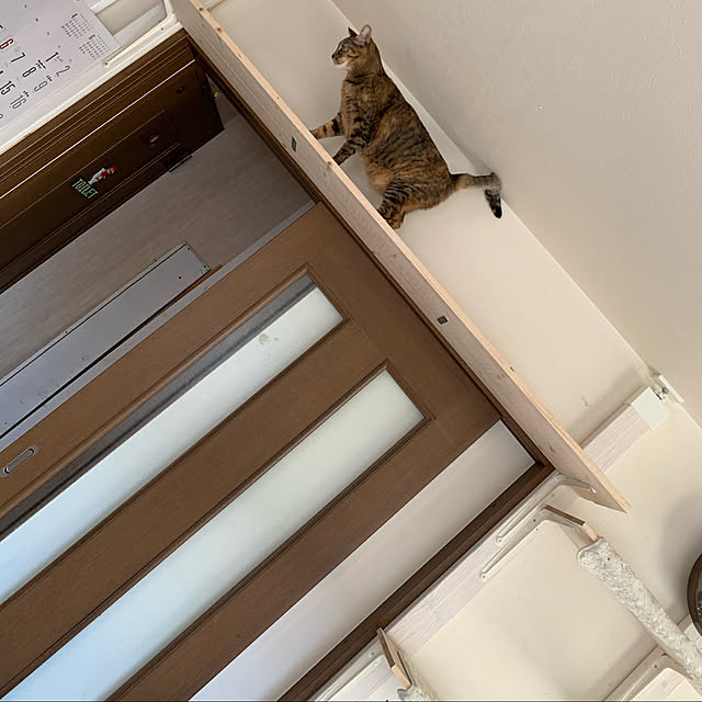koroさんの実例写真