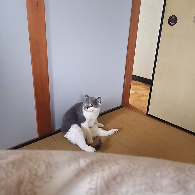 rhuさんの部屋