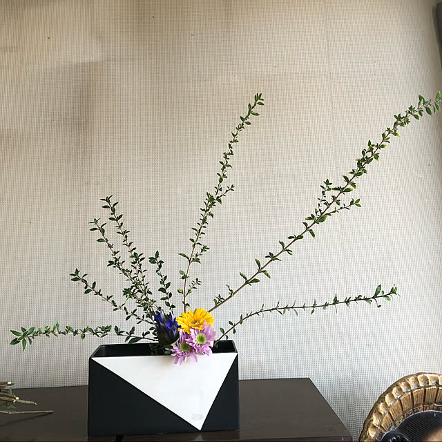 naworinさんの実例写真