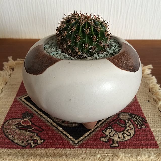 afroさんの実例写真
