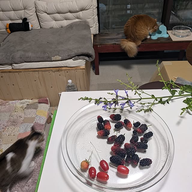 mori_6_12さんの部屋