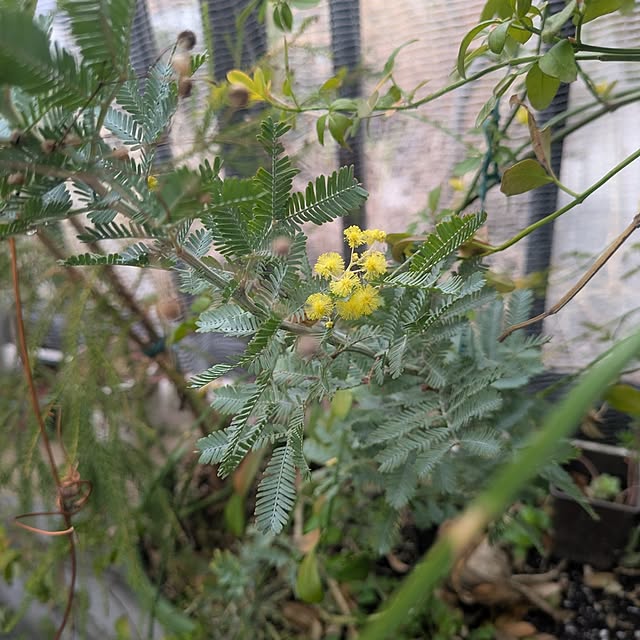 mori_6_12さんの実例写真