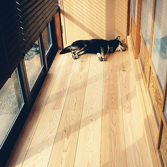 chan-6734さんの実例写真