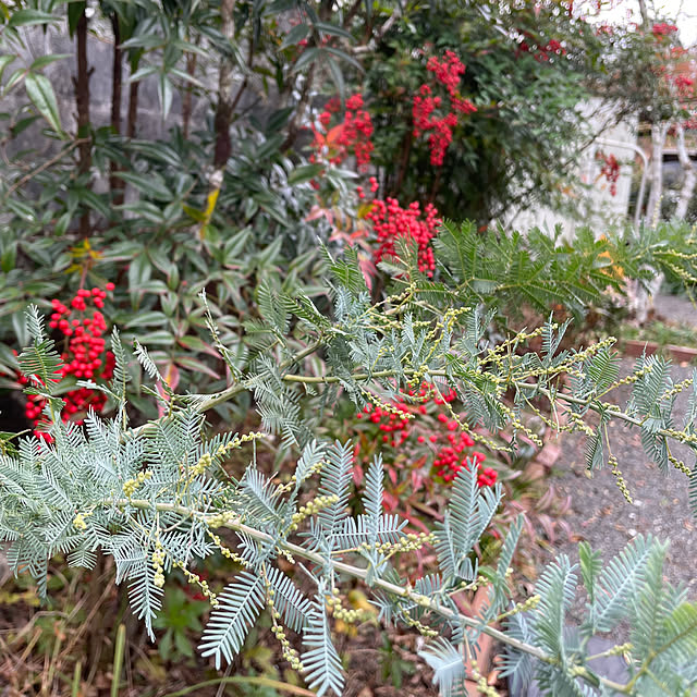 natsumiさんの部屋