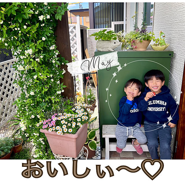 hinamamaさんの部屋