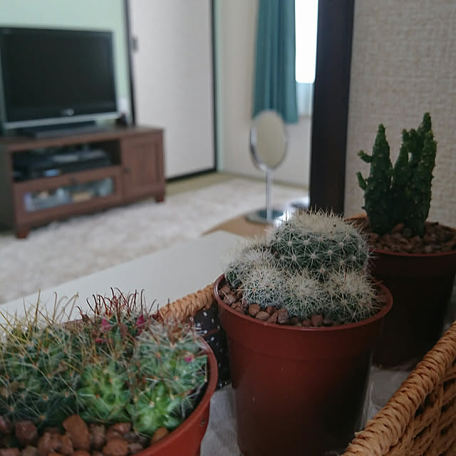 実例写真