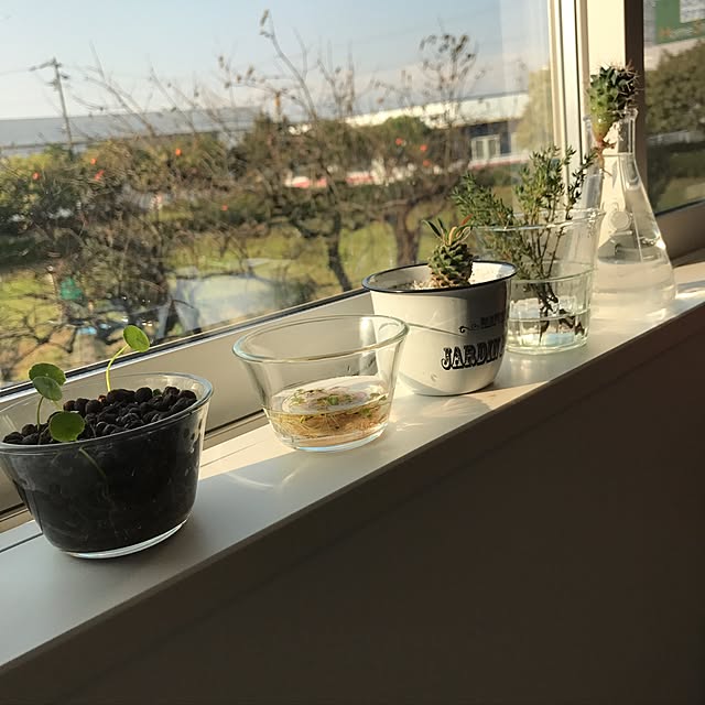 Eriさんの実例写真