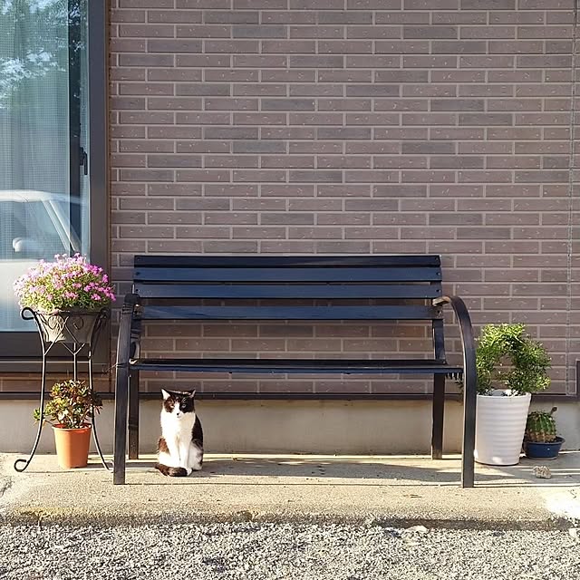 mochicoさんの実例写真