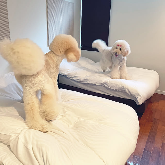 nackeyさんの実例写真
