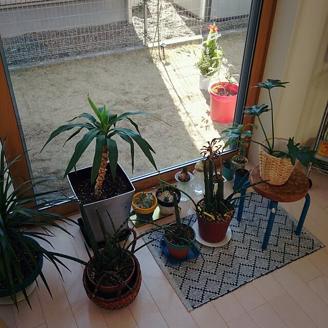 urchinさんの実例写真