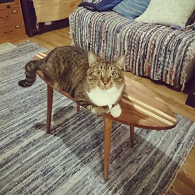 Lukiさんの実例写真