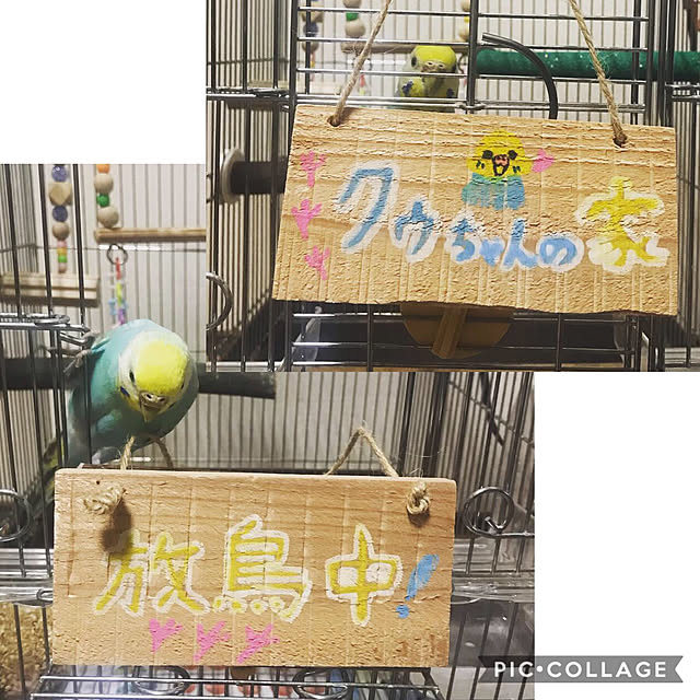 ai-nさんの実例写真